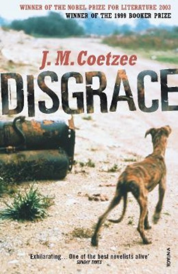 Picture of Disgrace