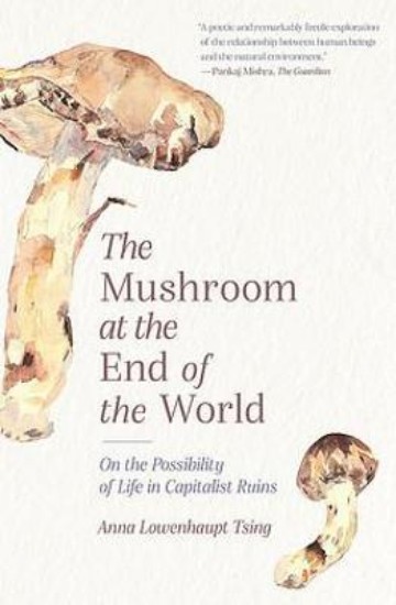 Picture of The Mushroom at the End of the World: On the Possibility of Life in Capitalist Ruins