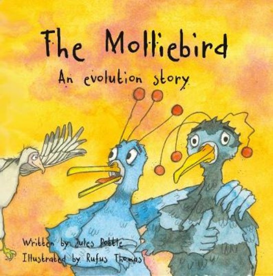 Picture of Molliebird