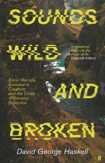 Picture of Sounds Wild and Broken