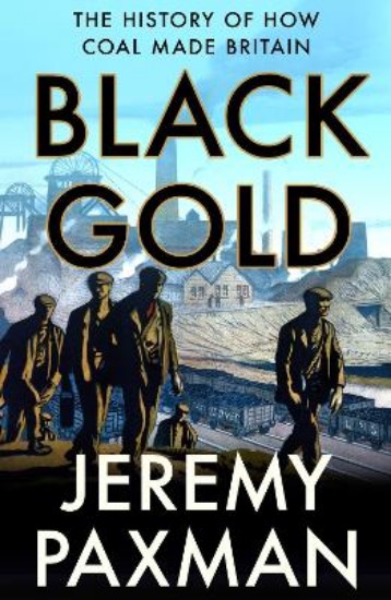 Picture of Black Gold: The History of How Coal Made Britain