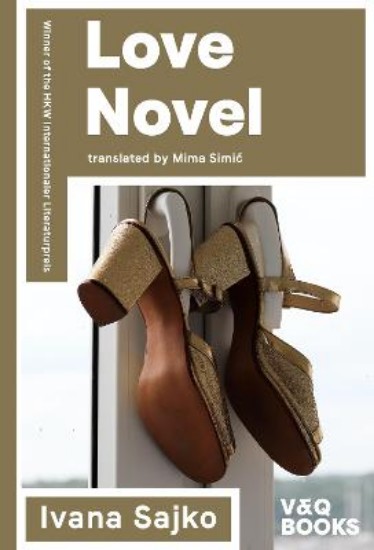 Picture of Love Novel: 2022