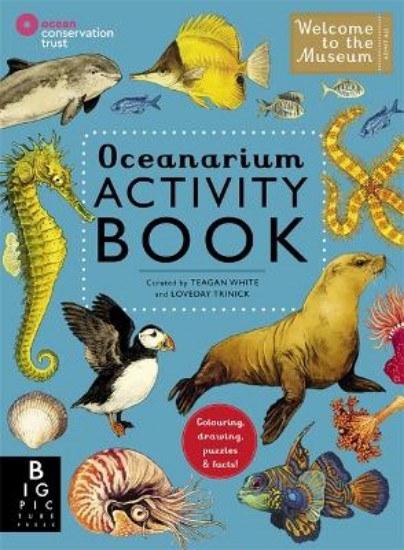 Picture of Oceanarium Activity