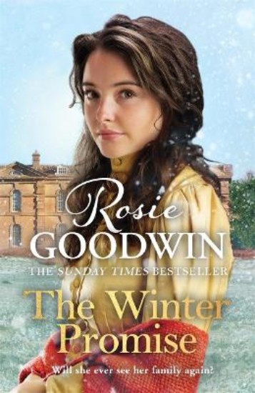 Picture of The Winter Promise