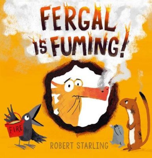 Picture of Fergal is Fuming!