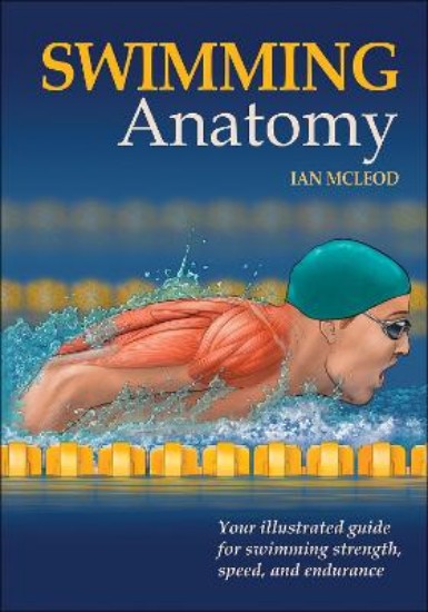 Picture of Swimming Anatomy