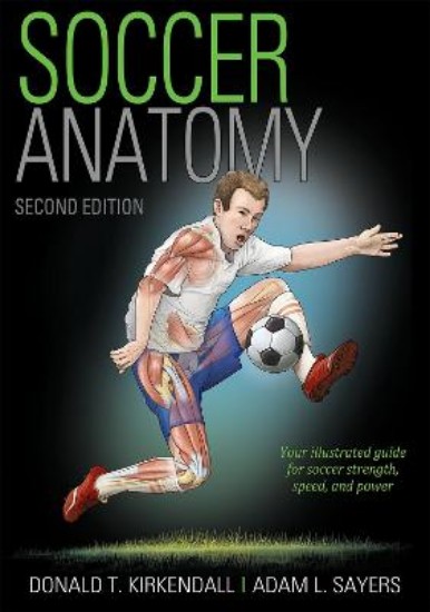 Picture of Soccer Anatomy