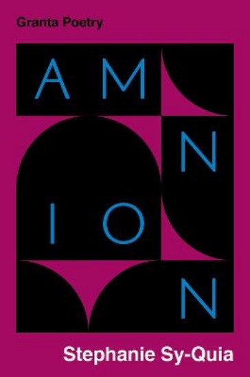 Picture of Amnion