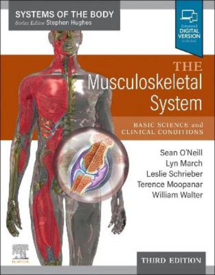 Picture of The Musculoskeletal System: Systems of the Body Series