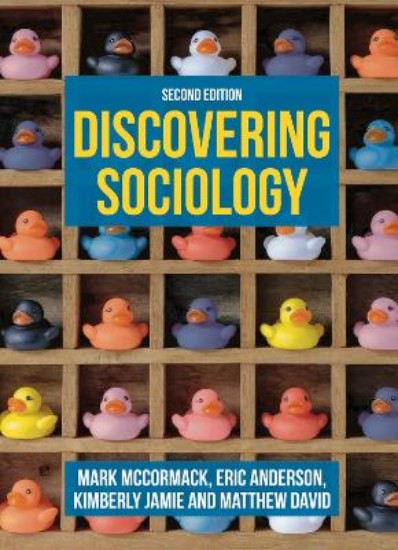 Picture of Discovering Sociology 2ed