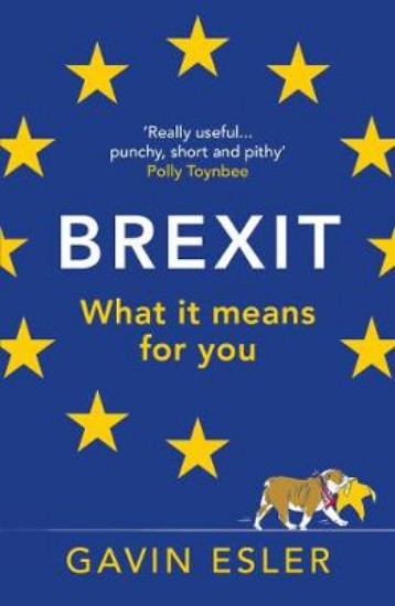 Picture of Brexit: What it Means for You