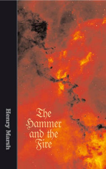 Picture of The Hammer and The Fire