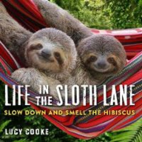 Picture of Life in the Sloth Lane: Slow Down and Smell the Hibiscus