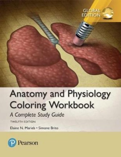 Picture of Anatomy and Physiology Coloring Workbook: A Complete Study Guide, Global Edition 12ed