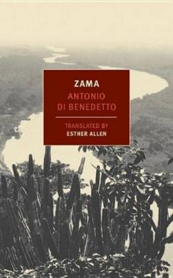 Picture of Zama