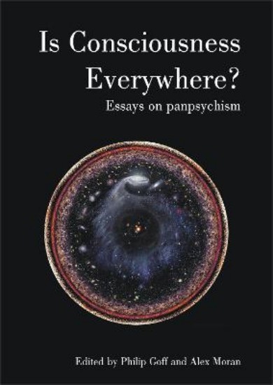 Picture of Is Consciousness Everywhere?: Essays on Panpsychism