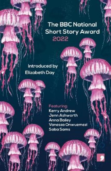 Picture of The BBC National Short Story Award 2022