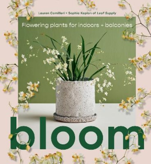 Picture of Bloom: Flowering plants for indoors and balconies