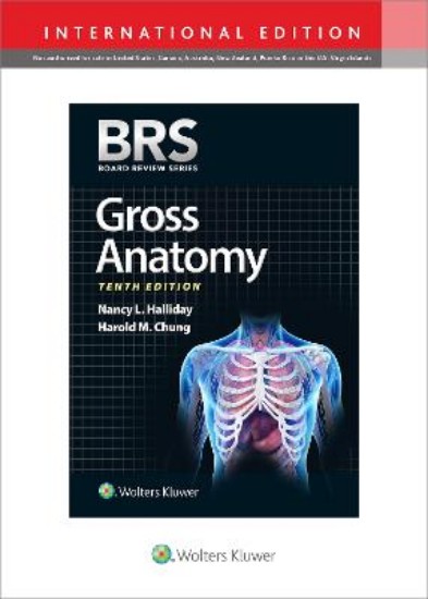 Picture of BRS Gross Anatomy