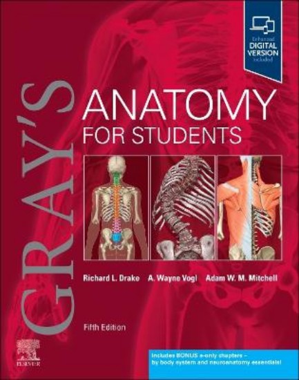 Picture of Gray's Anatomy for Students 5ed