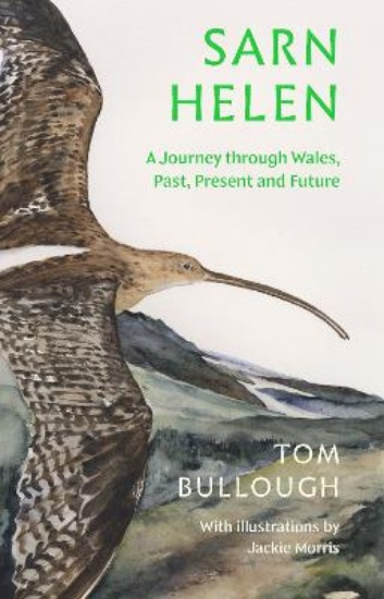 Picture of Sarn Helen: A Journey Through Wales, Past, Present and Future