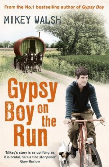 Picture of Gypsy Boy on the Run