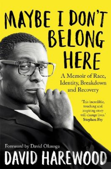 Picture of Maybe I Don't Belong Here: A Memoir of Race, Identity, Breakdown and Recovery