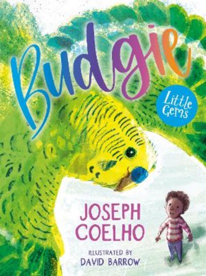 Picture of Budgie