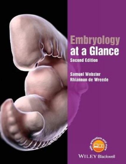 Picture of Embryology at a Glance, 2e