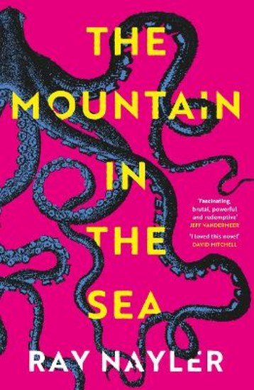 Picture of The Mountain in the Sea