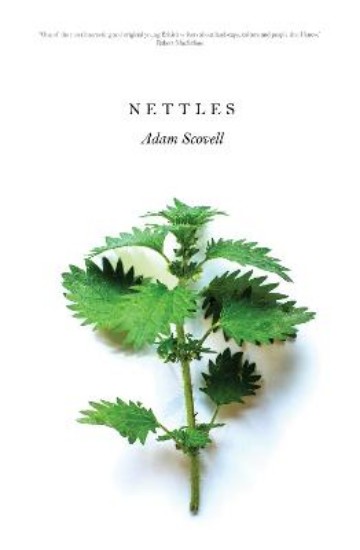 Picture of Nettles