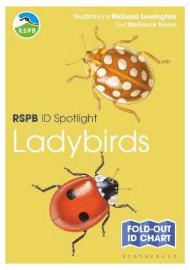 Picture of RSPB ID Spotlight - Ladybirds