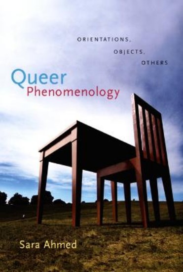 Picture of Queer Phenomenology: Orientations, Objects, Others