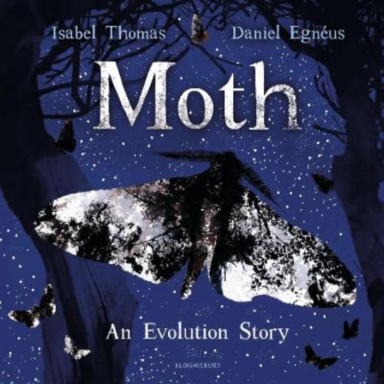 Picture of Moth: An Evolution Story