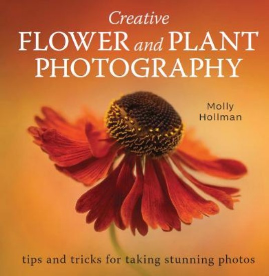 Picture of Creative Flower and Plant Photography: tips and tricks for taking stunning shots