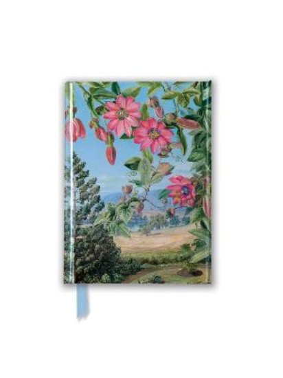 Picture of Kew: Marianne North: View in Brisbane Botanic Garden (A6 Pocket Notebook)