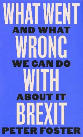 Picture of What Went Wrong With Brexit: And What We Can Do About It