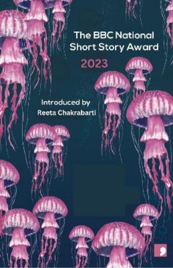 Picture of The BBC National Short Story Award 2023