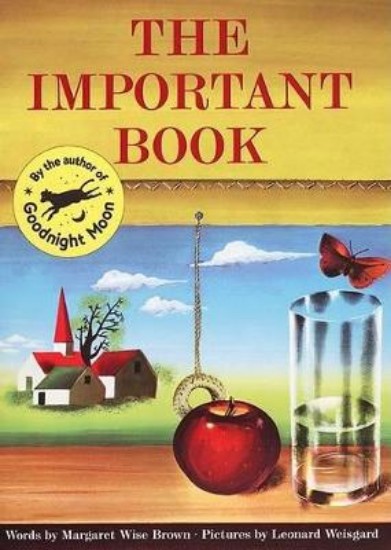 Picture of Important Book