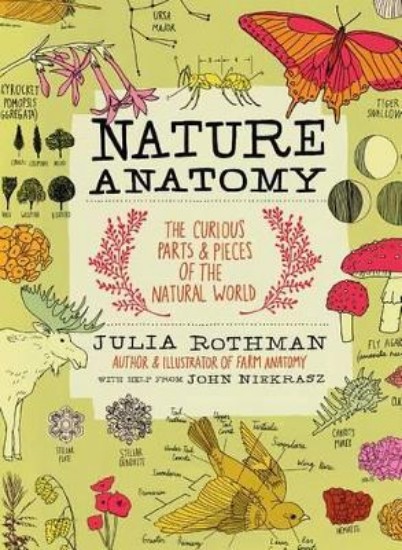 Picture of Nature Anatomy