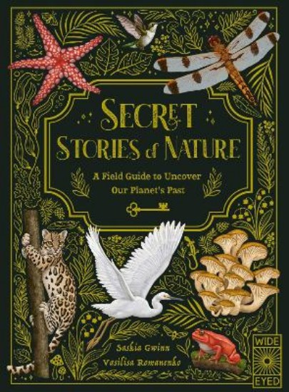 Picture of Secret Stories of Nature: A Field Guide to Uncover Our Planet's Past