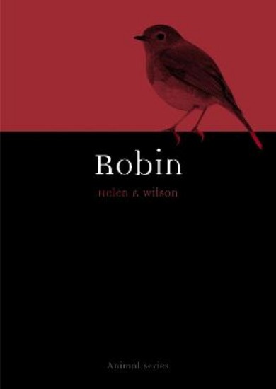 Picture of Robin