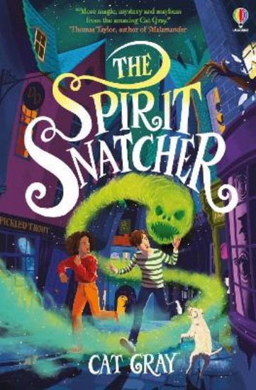 Picture of The Spirit Snatcher