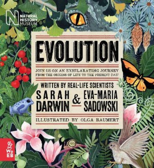 Picture of Evolution