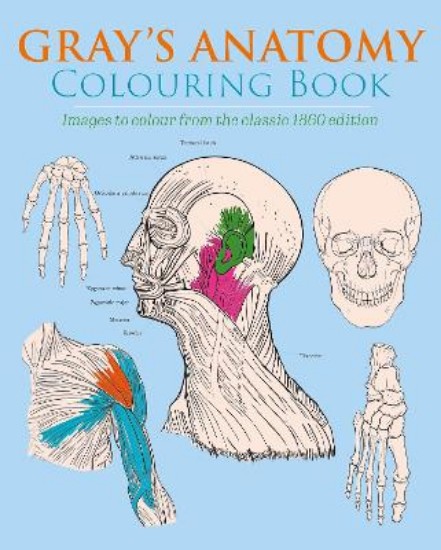 Picture of Gray's Anatomy Colouring Book: Images to Colour from the Classic 1860 Edition