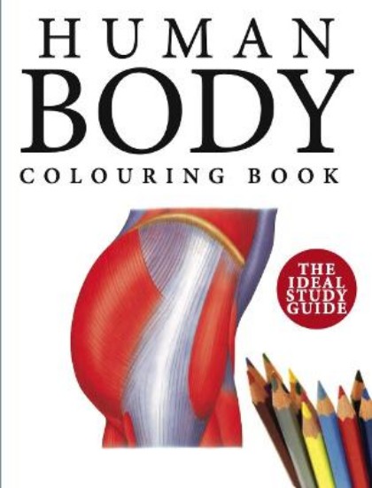 Picture of Human Body Colouring Book: Human Anatomy in 215 Illustrations
