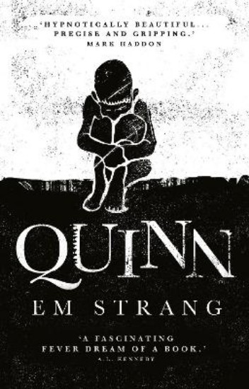 Picture of Quinn: 'Hypnotically beautiful' - Mark Haddon
