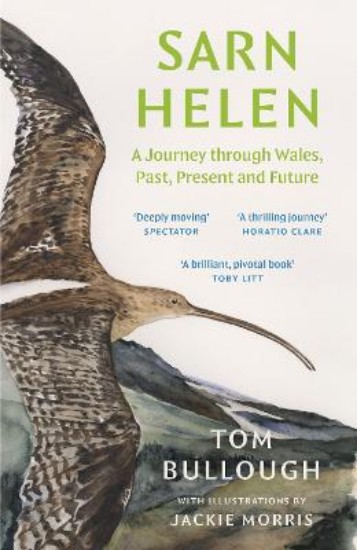 Picture of Sarn Helen: A Journey Through Wales, Past, Present and Future