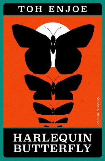 Picture of Harlequin Butterfly
