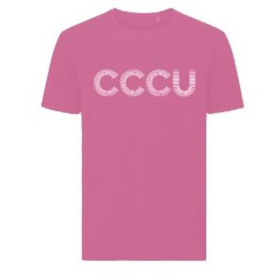 Picture of T-Shirt Pink XL